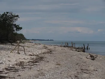 Halshuisene + Enebaerodde Beach (Denemarken)